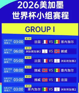 世界杯赔率APP移动端界面展示